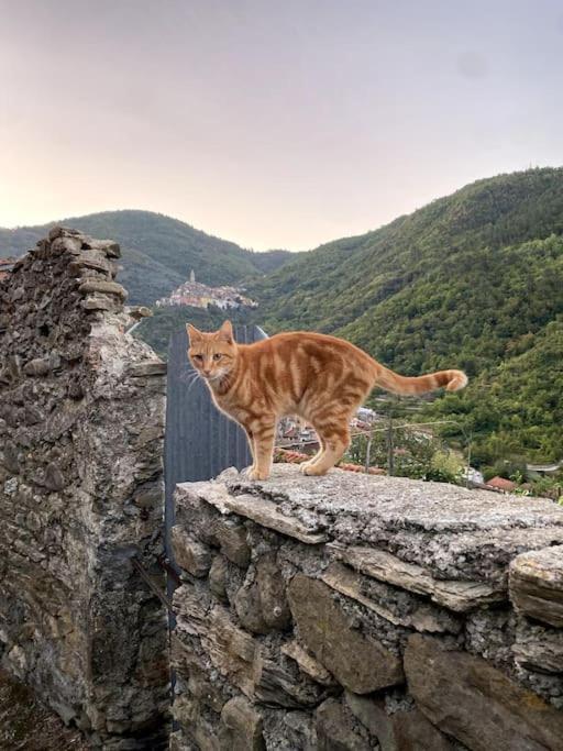 Iconic Italian Townhouse W Rooftop Terrace & Mountain View, Pigna Exterior foto