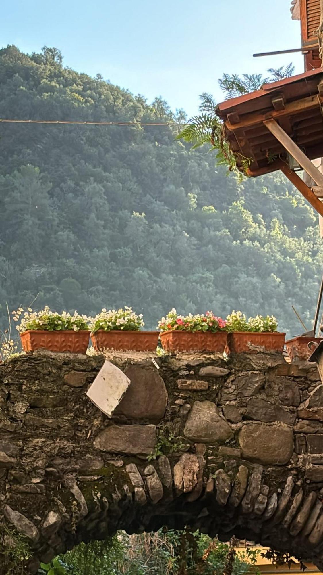 Iconic Italian Townhouse W Rooftop Terrace & Mountain View, Pigna Exterior foto